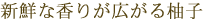 新鮮な香りが広がる柚子