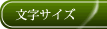 文字サイズ
