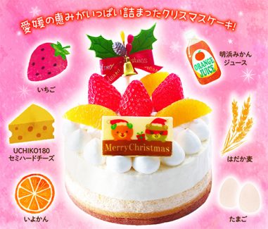 愛媛のこだわりレアチーズケーキ 商品のご案内 愛媛のこだわりレアチーズケーキ 商品のご案内